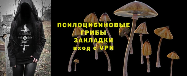 хмурый Абинск