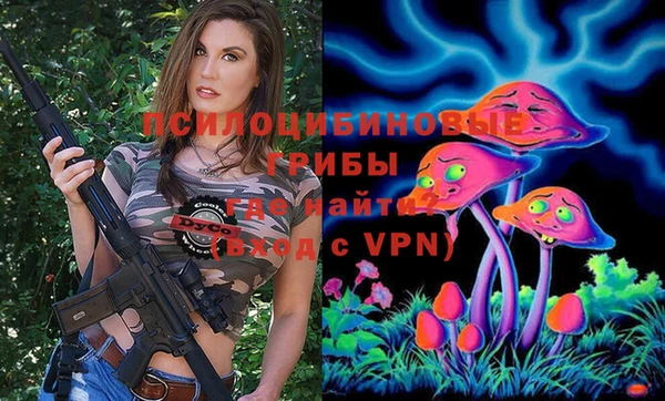 сатива Абаза