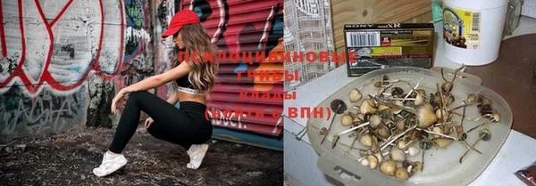 сатива Абаза