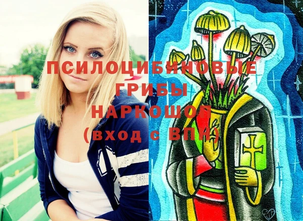 эйфоретик Майский