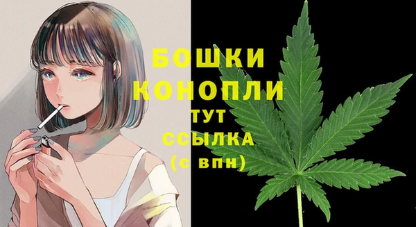 эйфоретик Майский